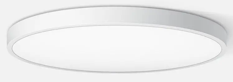 BEGA-50652-Ceiling-and-Wall-Luminaire-product