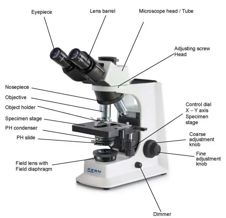 KERN-OBL-14-Transmitted-Light-Phase-Contrast-Microscope-fig-1