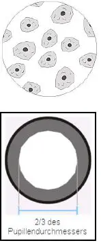 KERN-OBL-14-Transmitted-Light-Phase-Contrast-Microscope-fig-13