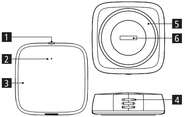 Rollei Smart Temperature and Humidity Sensor - Temperature 1