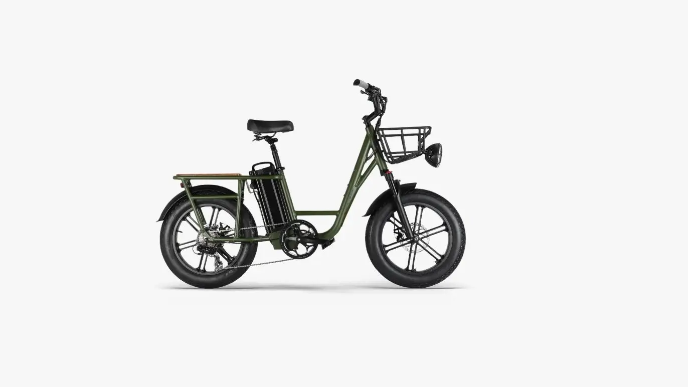 Fiido T1 Cargo Electric Bike User Manual