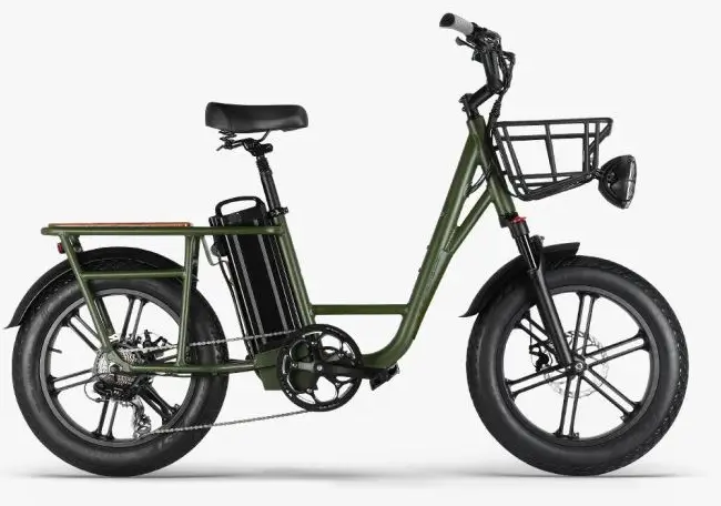 Fiido T1 Cargo Electric Bike