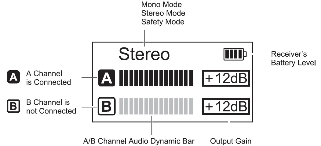 7RYMS-iRAY-DW20-PRO-2-4G-Dual-Channel-Wireless-Microphone-FIG-7