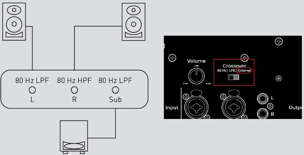 KALI AUDIO WS-6.2 Watts WS-6.2 Subwoofer-fig11