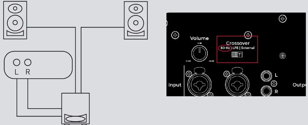KALI AUDIO WS-6.2 Watts WS-6.2 Subwoofer-fig8