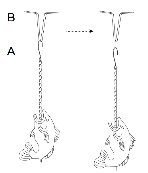 Assembly Instruction