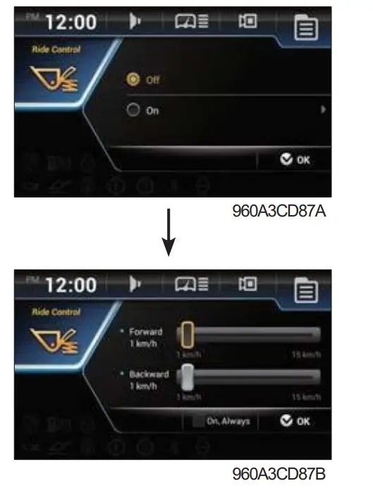 Ride control switch (option)