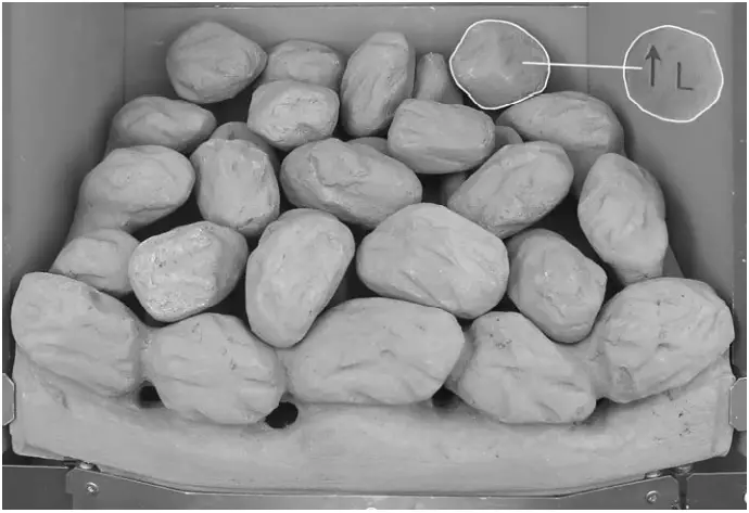 bemodern BM 02XXX1 MANUAL Flare Collection Inset Gas fires - Step 17