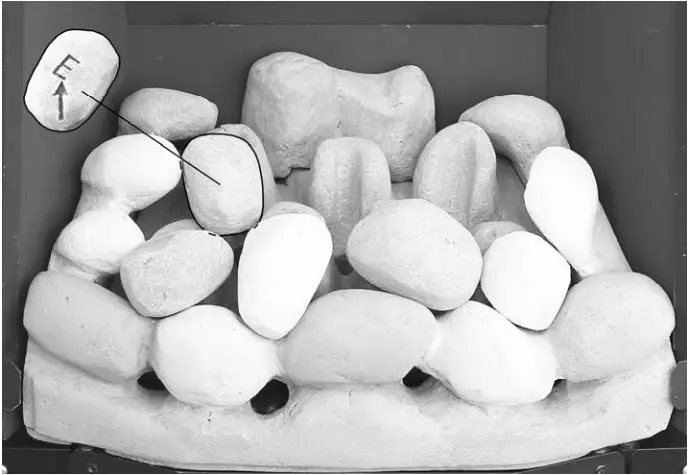 bemodern BM 02XXX1 MANUAL Flare Collection Inset Gas fires - fig 10