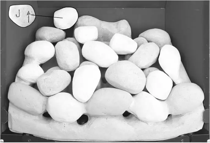 bemodern BM 02XXX1 MANUAL Flare Collection Inset Gas fires - fig 15