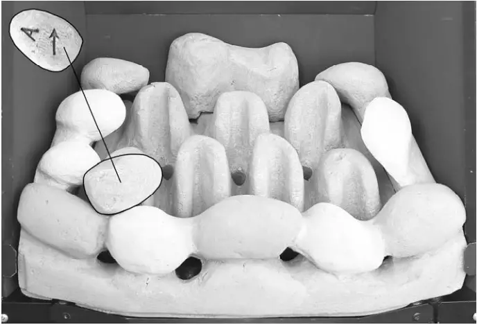 bemodern BM 02XXX1 MANUAL Flare Collection Inset Gas fires - fig 6