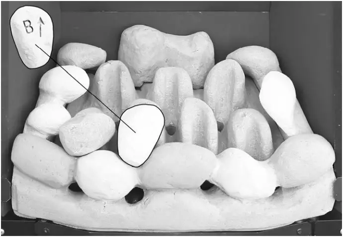 bemodern BM 02XXX1 MANUAL Flare Collection Inset Gas fires - fig 7