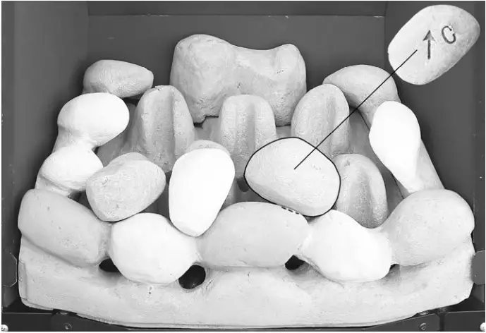 bemodern BM 02XXX1 MANUAL Flare Collection Inset Gas fires - fig 8