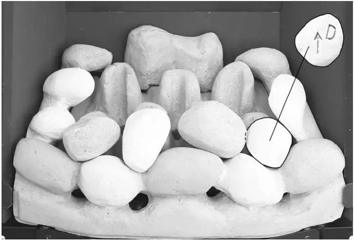 bemodern BM 02XXX1 MANUAL Flare Collection Inset Gas fires - fig 9