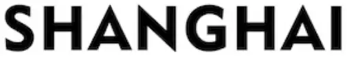Shanghai-Notion-Information-LOGO