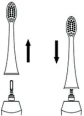 AILORIA SHINE BRIGHT USB Sonic Toothbrush A2