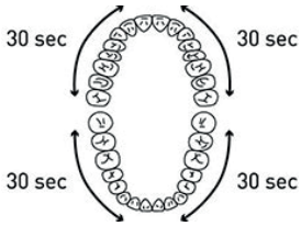 AILORIA SHINE BRIGHT USB Sonic Toothbrush A3