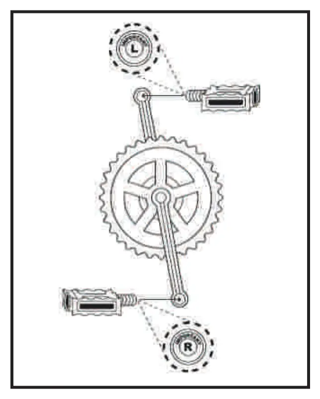Adult Bicyles - Assembly Instructions