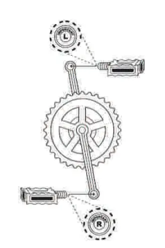 Adult Bicyles - Assembly Instructions
