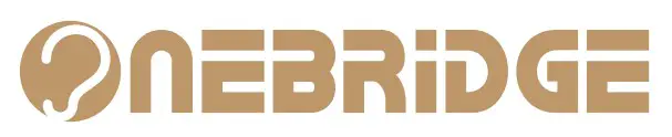 NEBRiDGE LOGO