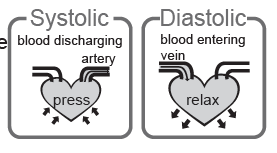 TRANSTEK-TMB-2266-Blood-Pressure-Monitor-73