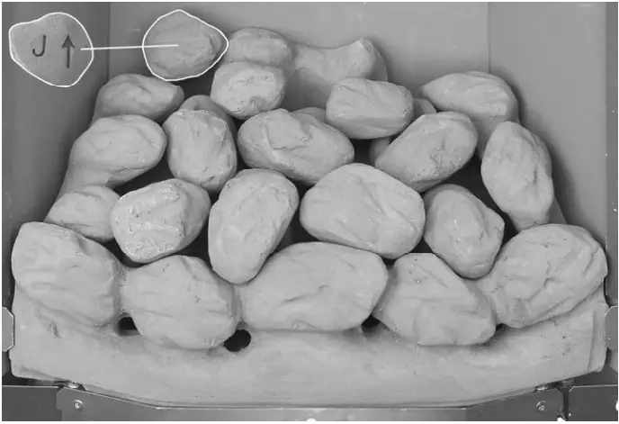 bemodern BM 03XXX1 MANUAL Convector Xtra Gas Fire - Step 15