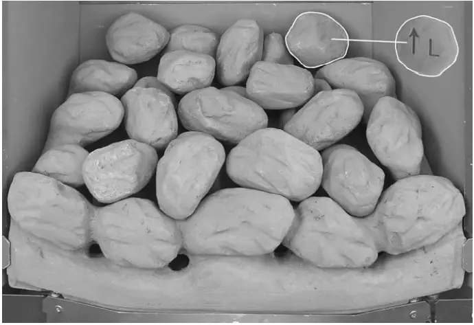 bemodern BM 03XXX1 MANUAL Convector Xtra Gas Fire - Step 17