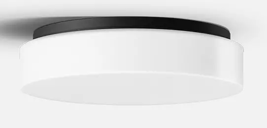 BEGA-12128-2-Ceiling-and-Wall-Luminaire-producct