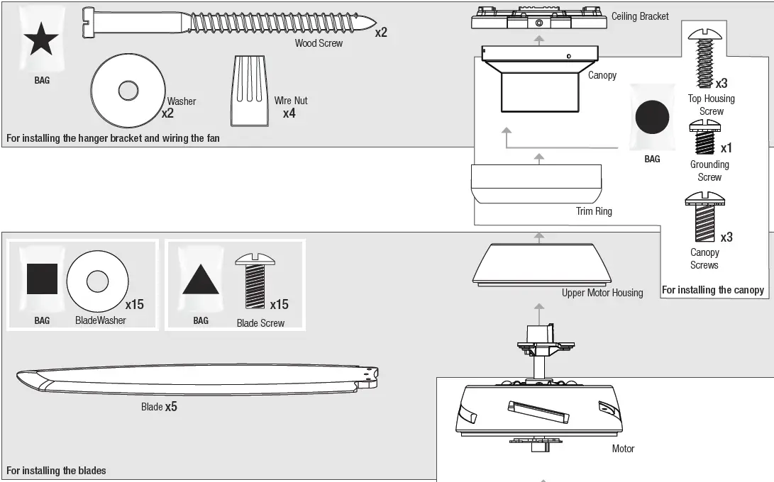 Hunter-52418-Lilliana-Fresh-White-Fan-fig-2