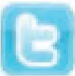 Twitter Icon