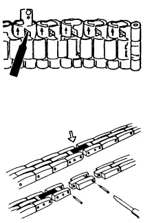 Timex-1440-Sports-Watch-FIG-11