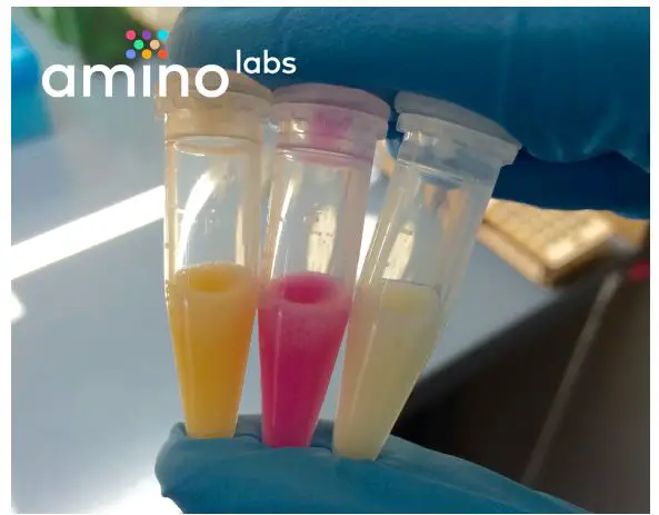 amino-Extract-it-Kit-Liquid-Culture-FIG-3