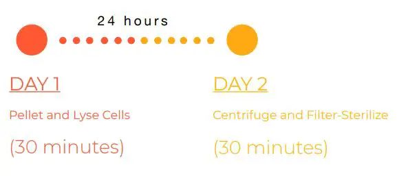 amino-Extract-it-Kit-Liquid-Culture-FIG-6