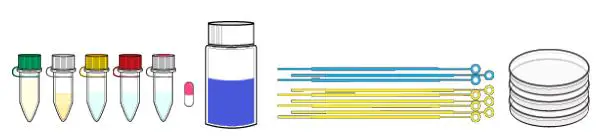 amino-Extract-it-Kit-Liquid-Culture-FIG-8