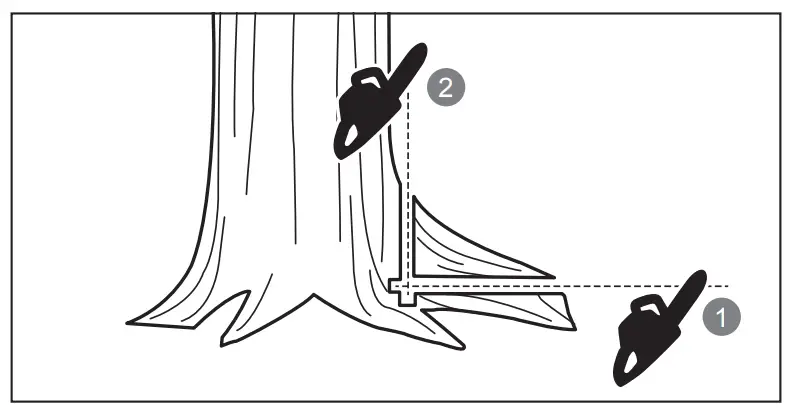 Removing buttress roots