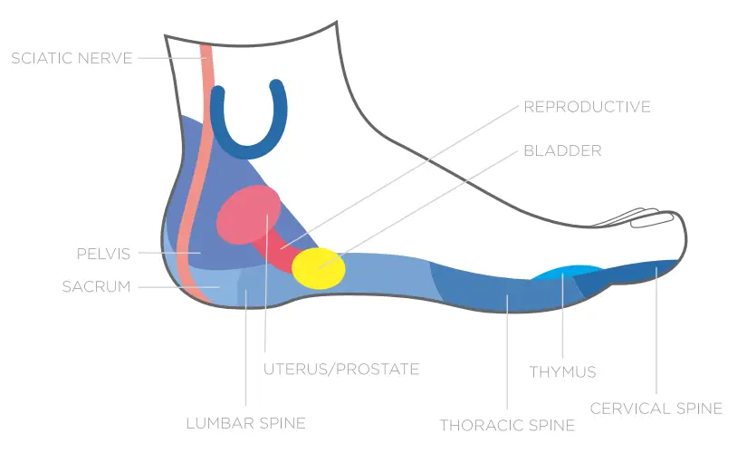 bcp SKY5515 Electric Foot Massager with Remote Control Programs - Both feet