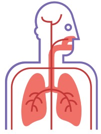 ATMO TUBE Pro Portable Air Quality Monitor - icon