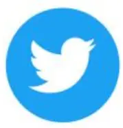Twitter Icon