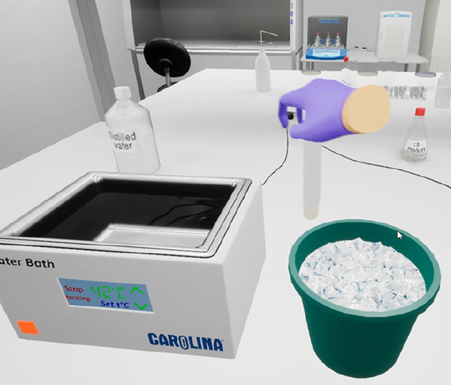 CAROLINA Biotechnology Simulator Bacterial