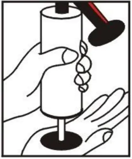 Westfalia 813450 Air Horn - overview 3