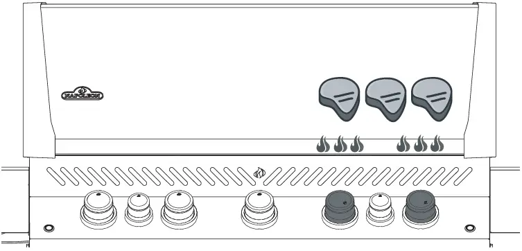NAPOLEON P665 Gas Grill 12