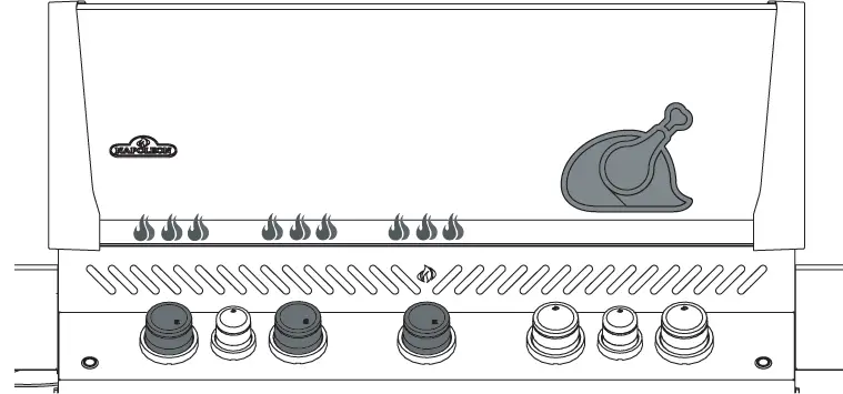 NAPOLEON P665 Gas Grill 13