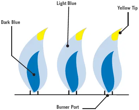 NAPOLEON P665 Gas Grill 25