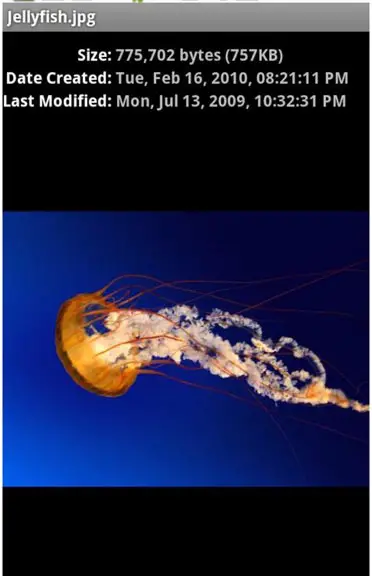 Apps-Seagate-Global-Access-App-13