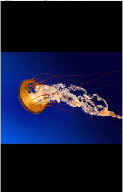 Apps-Seagate-Global-Access-App-15