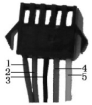 Connection Instructions
