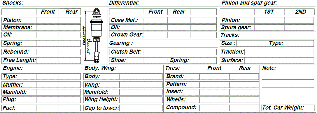 WRC-GT4-2-1-8-GT-Nitro-Car-RC-Professional-fig-29