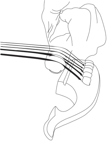 Assembly  Instruction