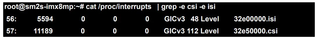 AVNET i.MX 8M Plus Linux-Yocto Edge AI Kit - interrupt