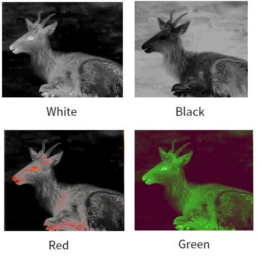 ThermTec-CYCLOPS-Thermal-Imaging-Monocular-21